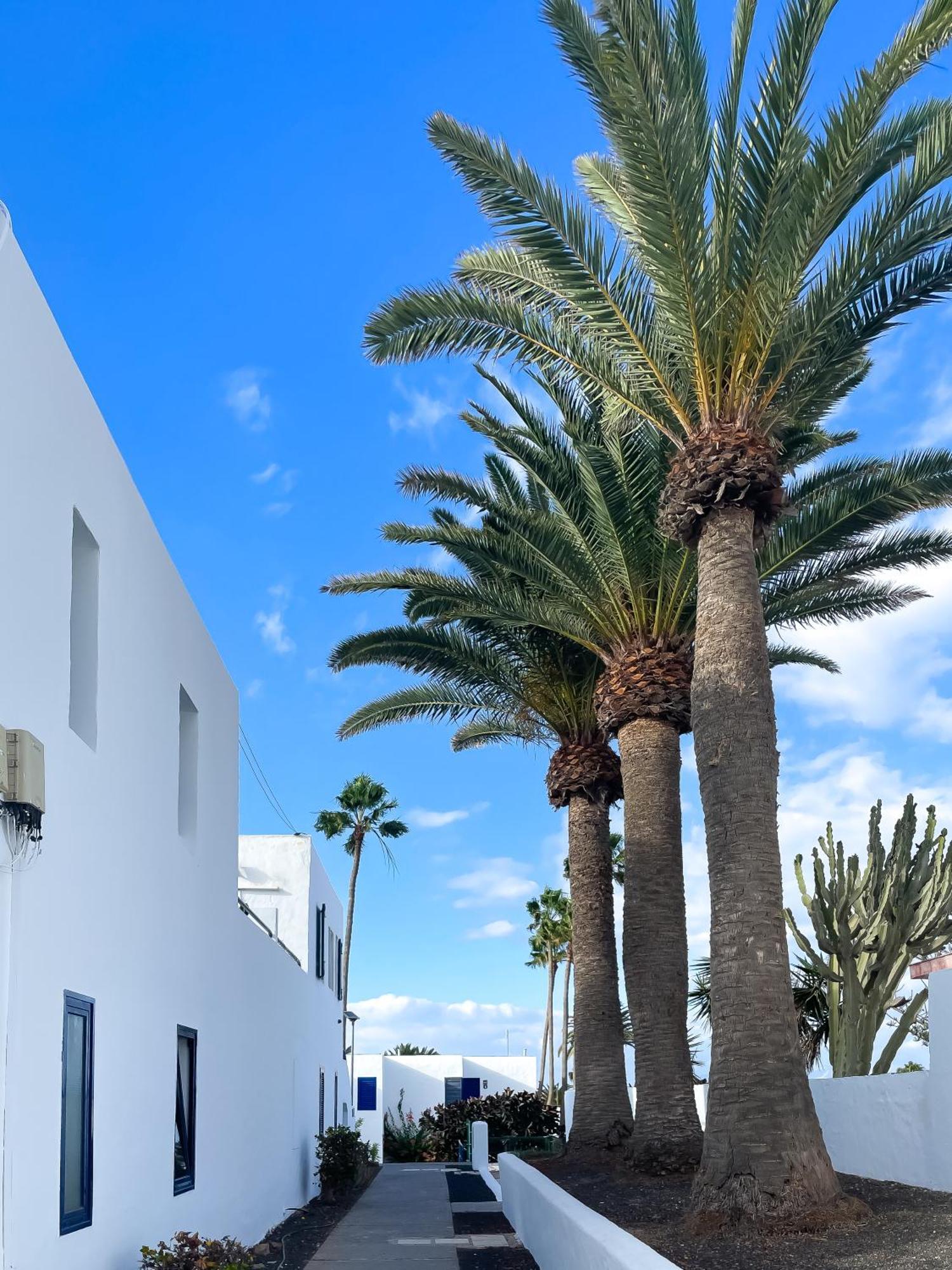 Barqueros Beach By Best Holidays Fuerteventura Corralejo Exterior photo